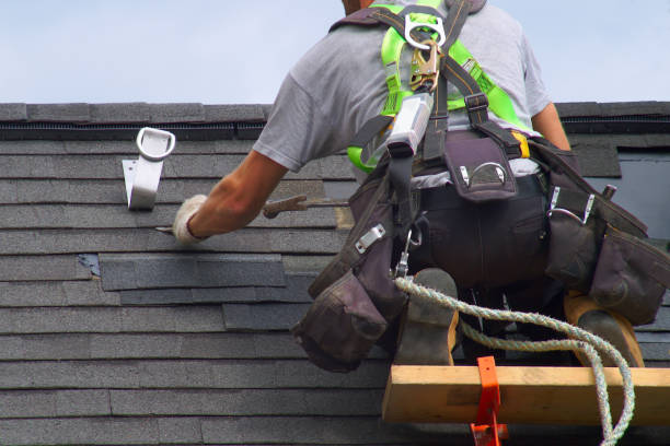 Roof Gutter Cleaning in Lakefield, MN