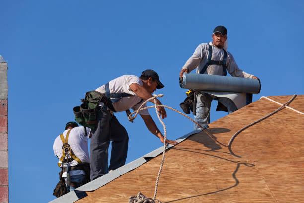 Best Commercial Roof Installation  in Lakefield, MN